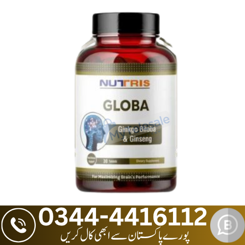 Globa Maximizing Brain Performance